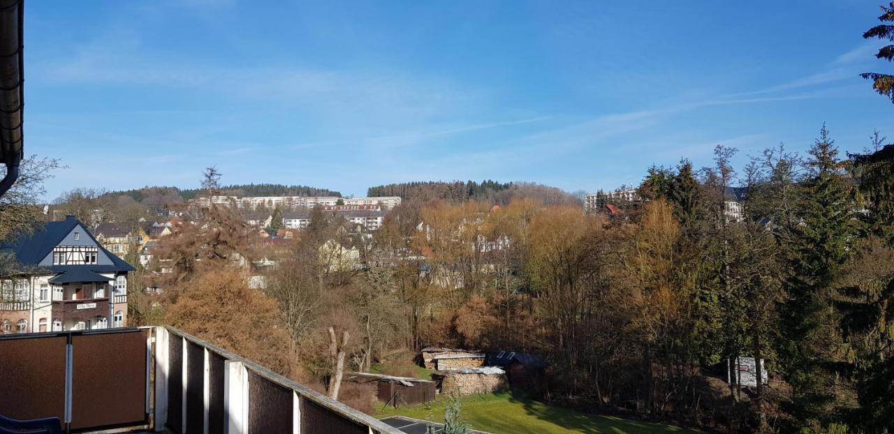 Ferienwohnungen Villa Goldbrunnen Бад Елстер Екстериор снимка